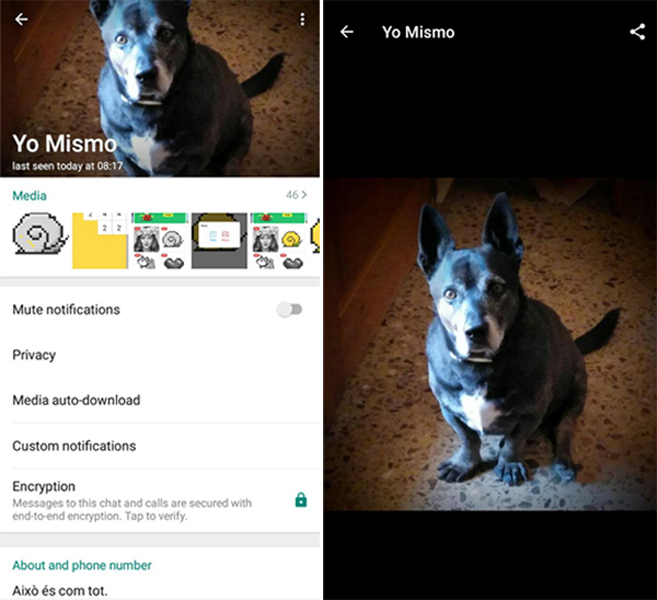 gb-whatsapp-apk gb-whatsapp-apk